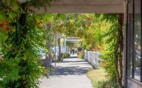 South Seas 5 - Absolute Beachfront Escape Near Cafes